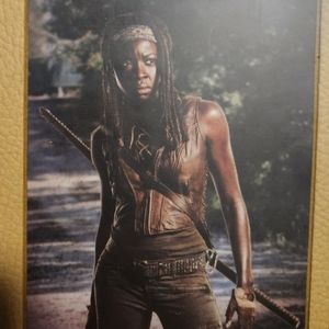 The Walking Dead Michone journel